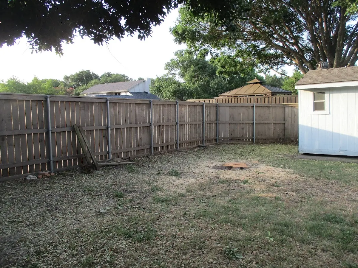 Cleared yard after professional tree removal in Flowery Branch